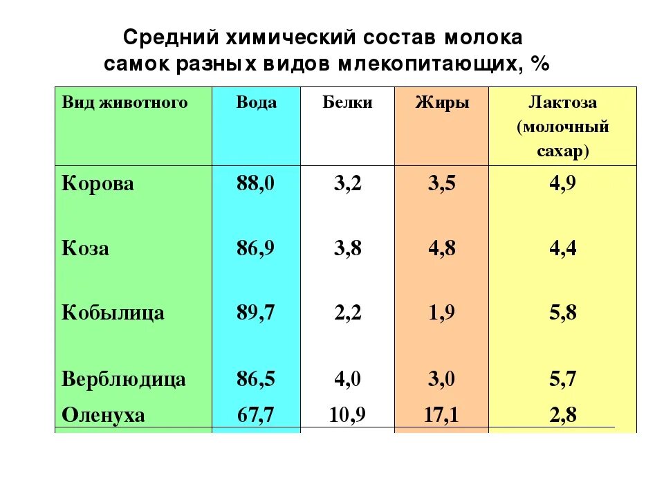 Сколько грамм белков в молоке. Химический состав молока. Молоко химический состав. Содержание лактозы в коровьем молоке. Состав молока таблица.