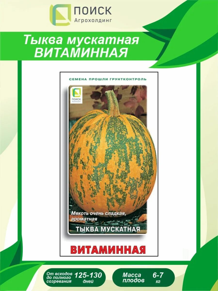 Тыква витаминная описание отзывы. Тыква мускатная витаминная описание. тыква мускатная витаминная 10шт поиск. тыква сорт витаминная.