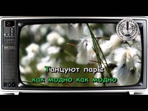 В краю магнолий плещет текст. Караоке 90х диски. В краю магнолий песня Ариэль. Караоке 90.