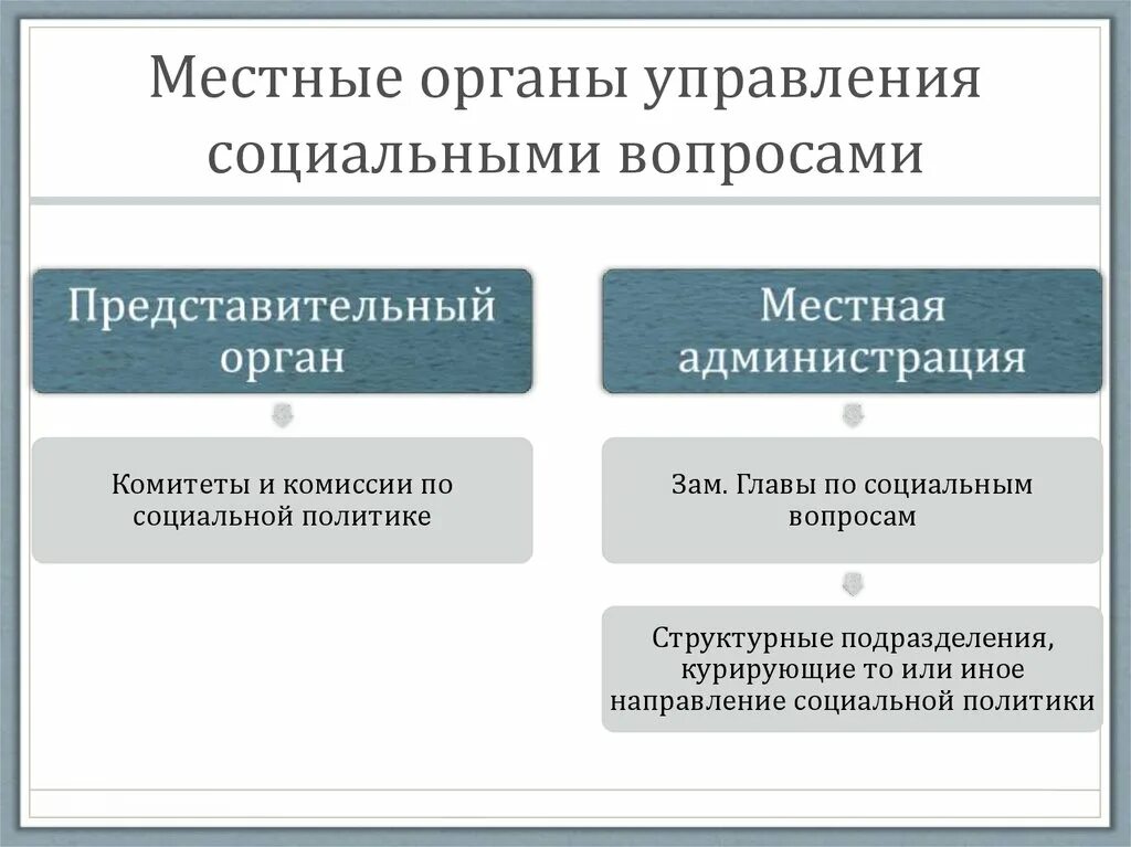 Оперативное социальное управление