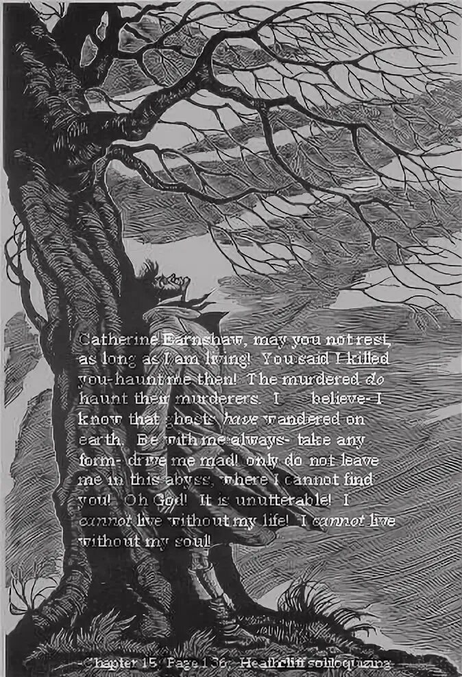 Wuthering waves tear list. Сюжетные wuthering waves персонажи. wuthering waves главные герои. wethering ways персонажи. wuthering waves арты.