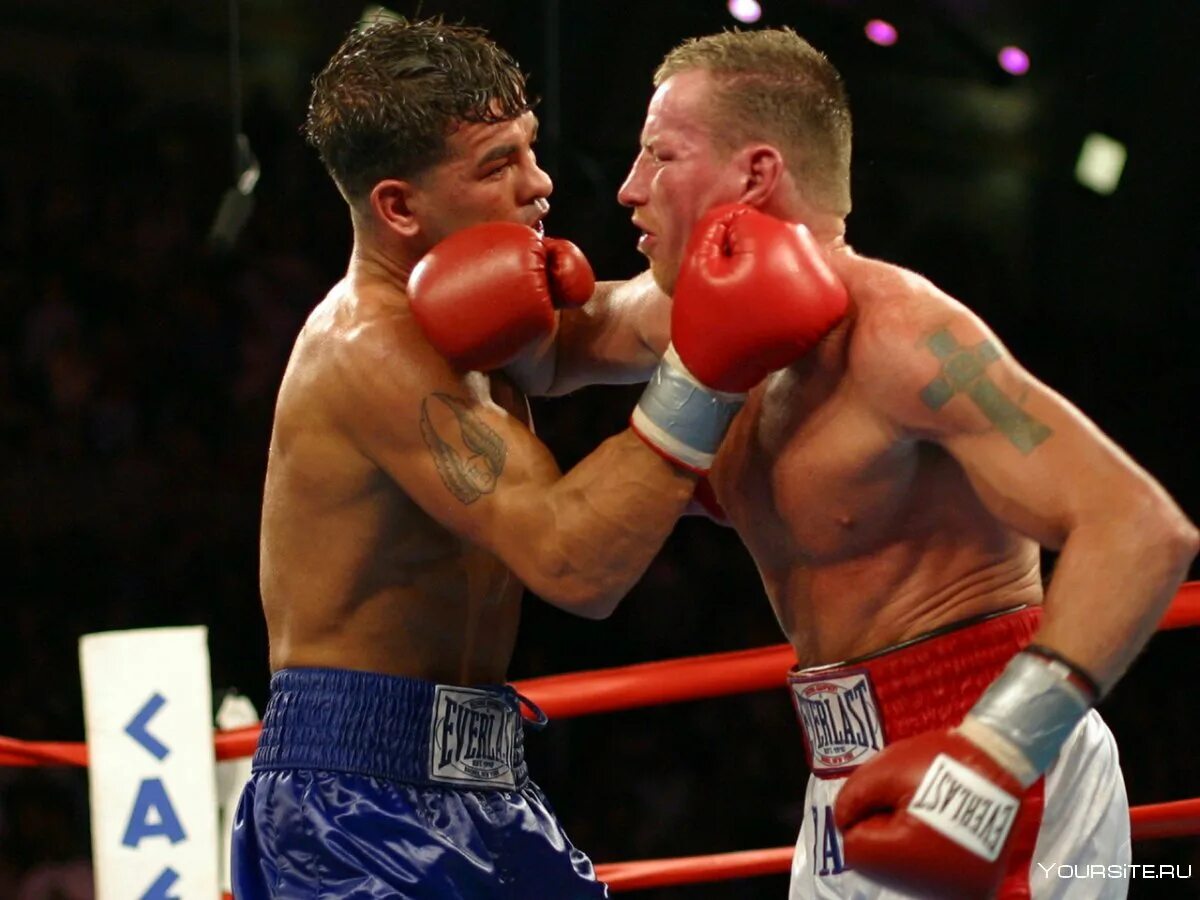 Лучшие бои 1. Лучшие бои 1. Майк тайсон 1996. Смешанные единоборства федор емельяненко. Лучшие бои 1.