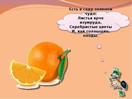 Видеоурок овощи и фрукты 1 класс
