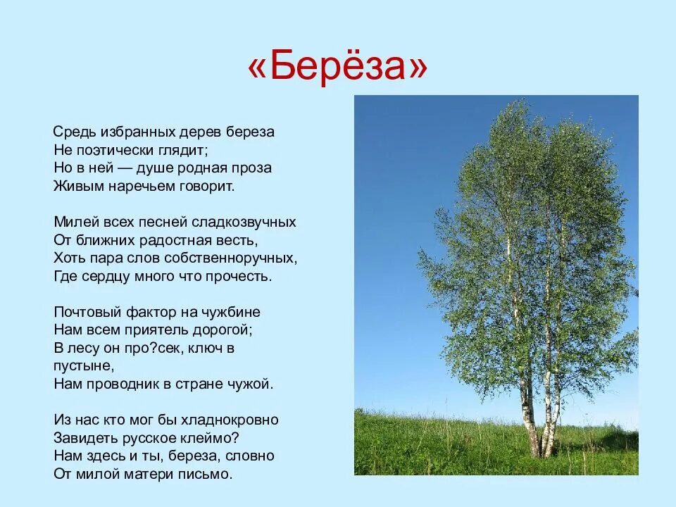 Стихи о родине. Стихи о родной природе. Стихотворение о родине и родной природе. Стишки про родину. Стихотворение про русских текст