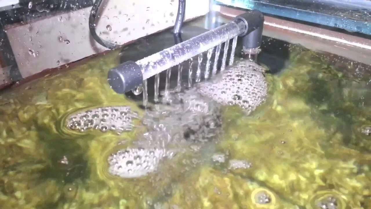Как убрать муть в бассейне