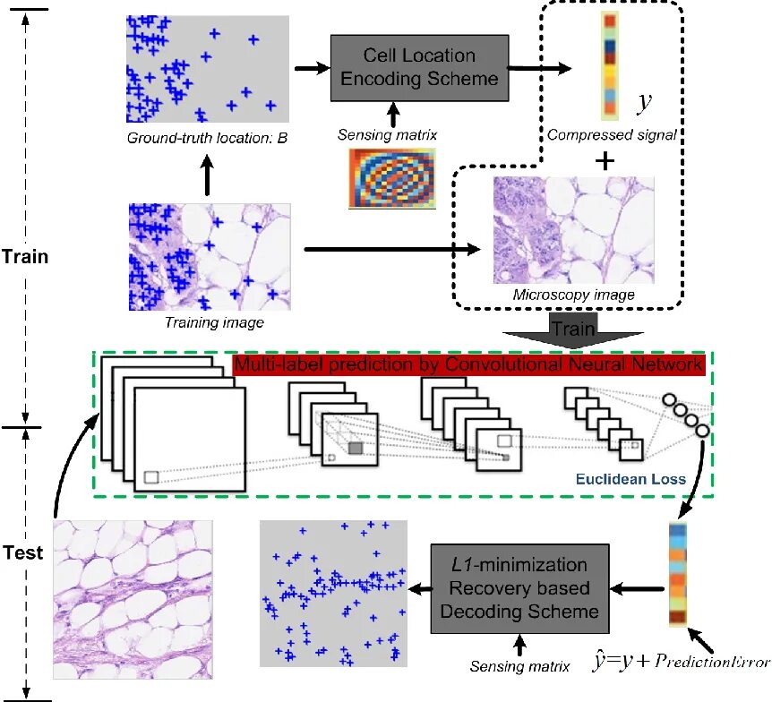 Neural network for detection. Convolutional neural network scheme. image compression neural network. тестирование нейронной сети. convolutional neural network filters.