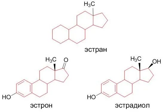 Гормоны крови эстрадиол. Структура эстрона. Эстрон структурная формула. Строение эстрона. Эстрон формула химическая.