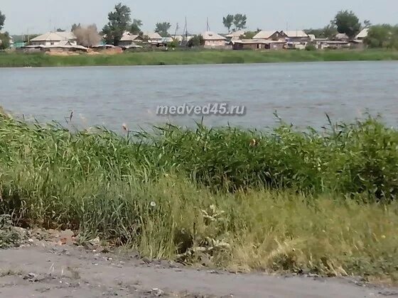 Погода новое ильинское курганская. Село ильинское курганская область обелиск. Ново ильинское курганская область. Погода новое ильинское курганская. Новое ильинское петуховский район.