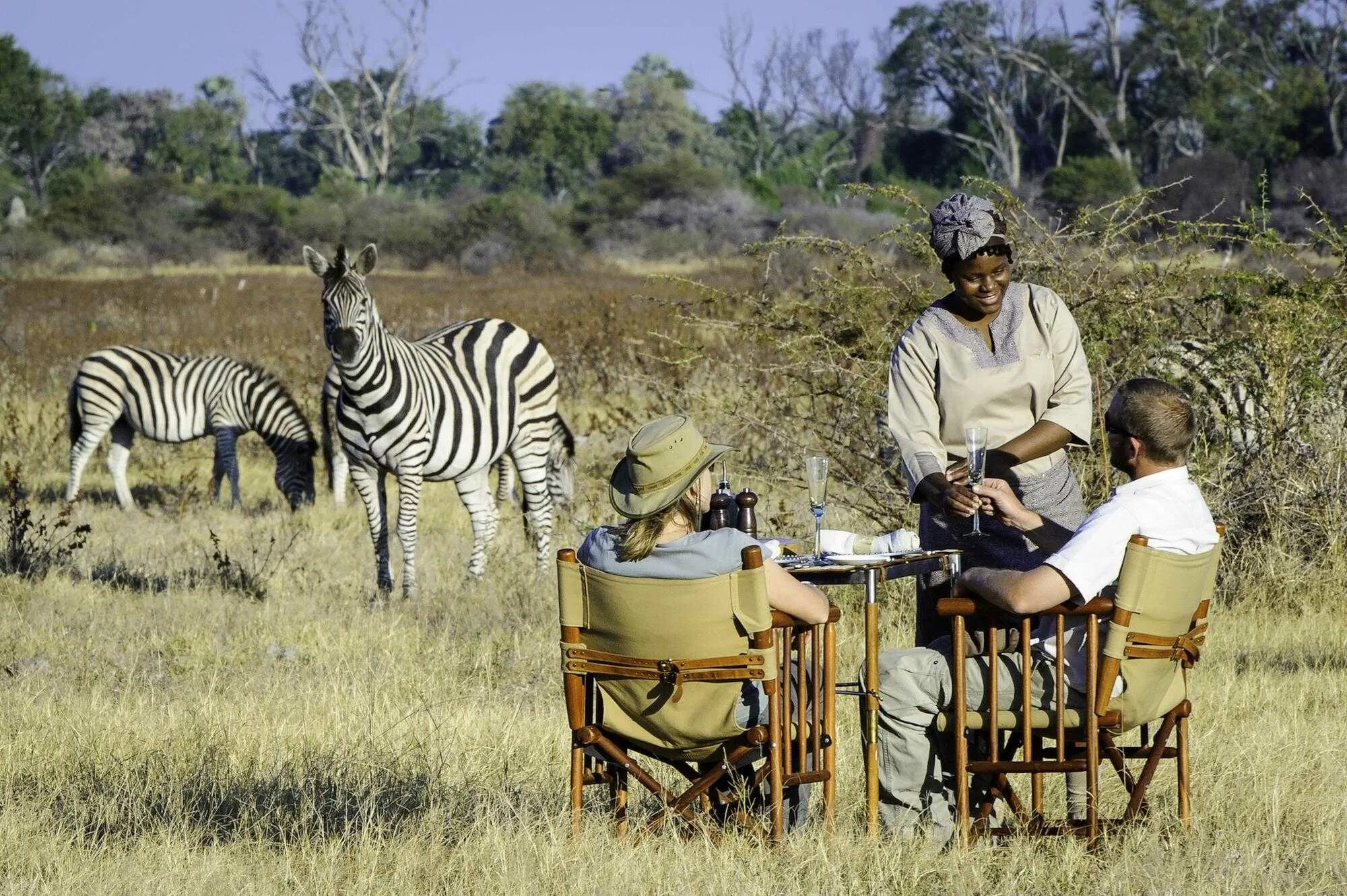 Africa safari. Кейптаун сафари. Зимбабве Саванна. ЮАР сафари. Прогулка сафари Африка.