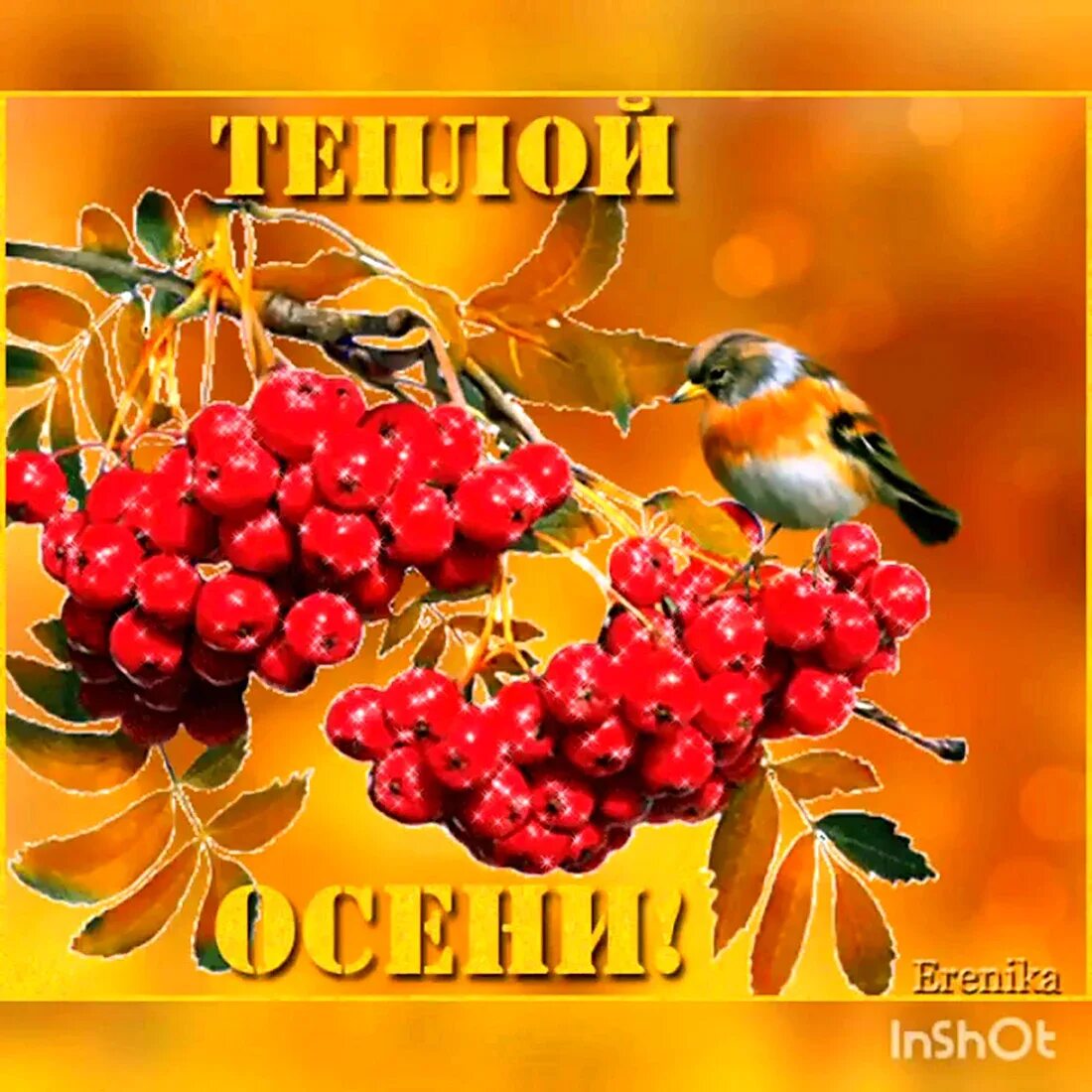 Теплого осеннего денечка и отличного настроения. Осенние открытки. красивые осенние открытки. осенний день. открытки теплого осеннего дня.