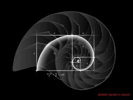 Def fibonacci