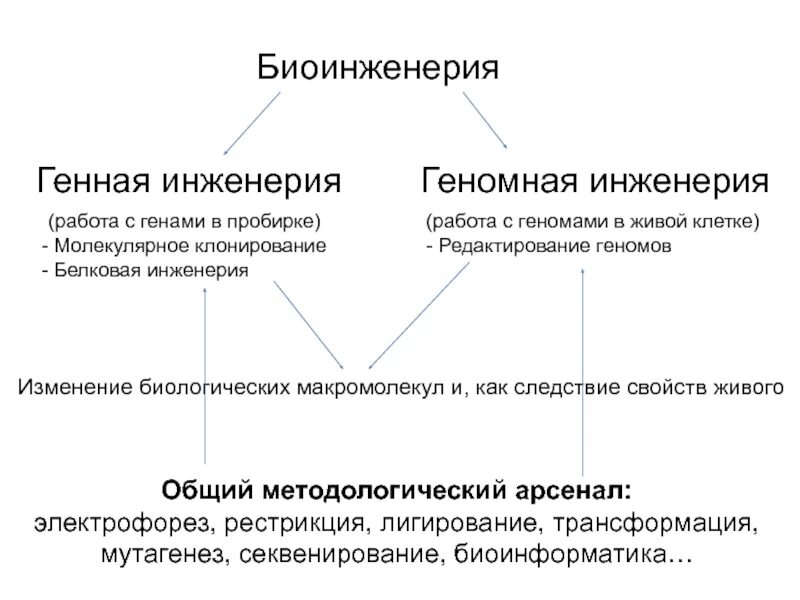 Факультет биоинженерии мгу. Биоинженерия и биоинформатика кем работать. Биотехнолог. Биоинформатик в лаборатории. Химик-технолог и биотехнолог.
