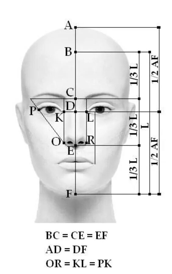 Длина лба. Золотое сечение в пропорциях лица человека. Идеальные пропорции лица схема. Золотое сечение пропорция лица схема. Идеальные пропорции лица золотое сечение.