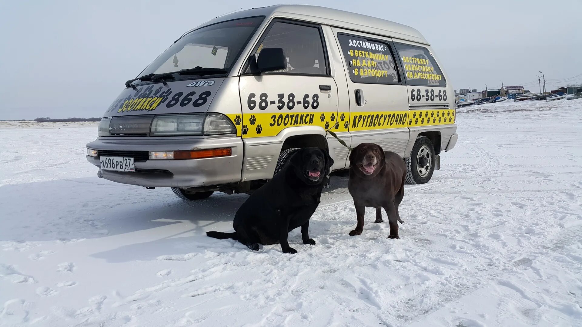 Такси для животных. Автомобиль для перевозки животных. Зоотакси машина. Зоотакси спб. Зоотакси спб.