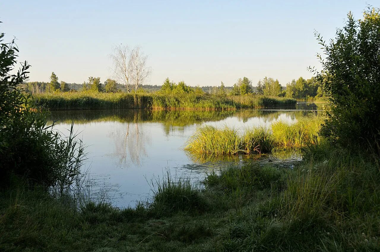лосиный остров национальный парк королев. заповедник в москве лосиный остров. национальный заповедник лосиный остров. лосиноостровский парк москва. лосиноостровский парк москва.