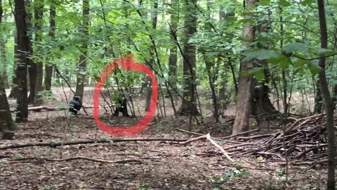 Duendes reales me persiguen cuando grabo en el bosque - YouTube.