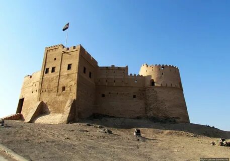 Forts отзывы
