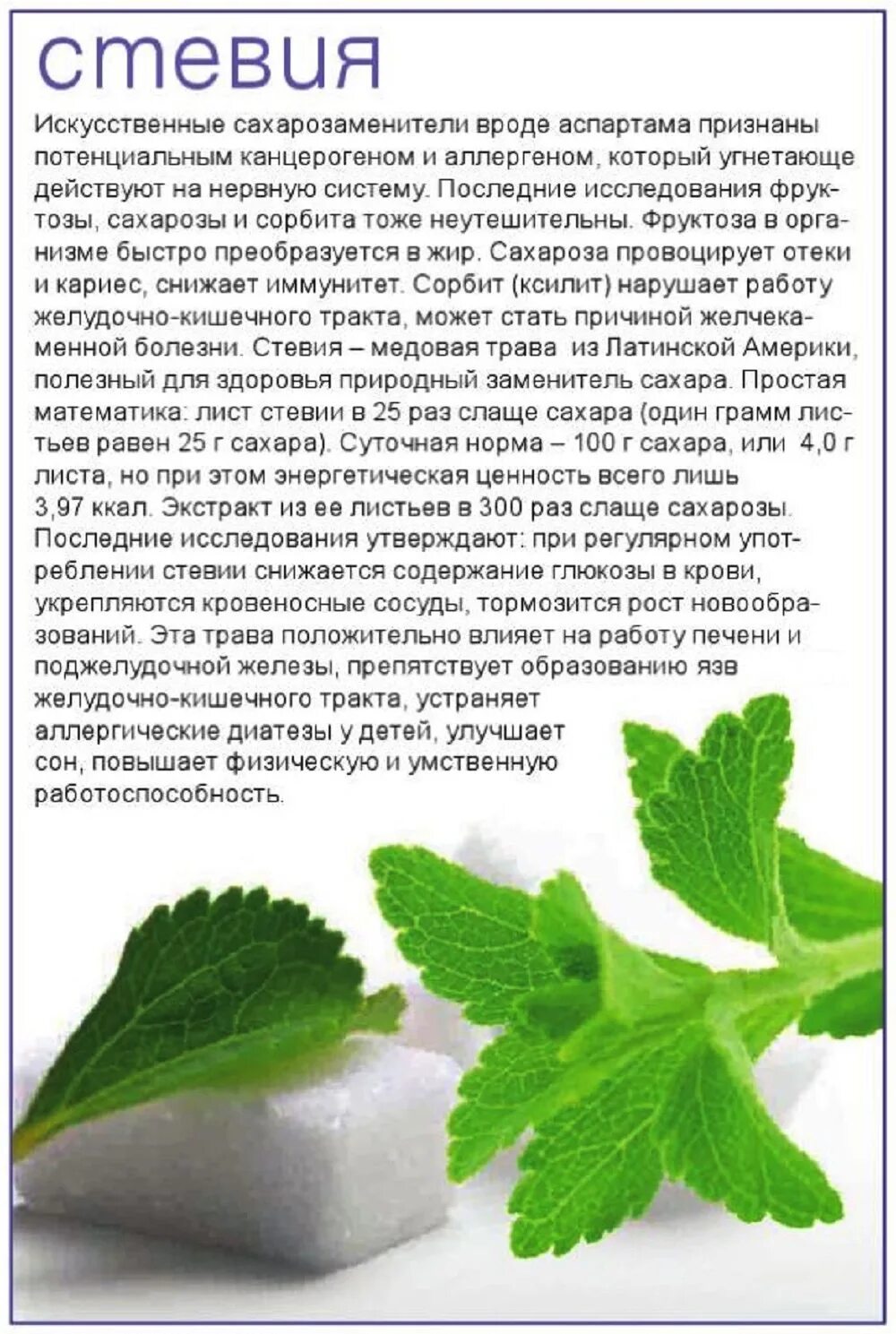 Стевия что это такое польза и вред. Трава стевия. Стевия трава полезные. Стевия что это такое польза. Стевия сахарозаменитель растение.
