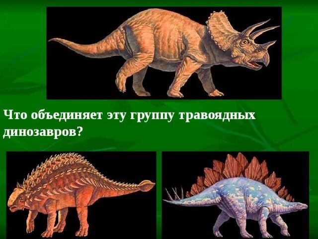 Строго травоядный человек. Травоядные динозавры. Динозавры хищники и травоядные. Травоядный динозавр с капюшоном. Какие есть виды динозавров.