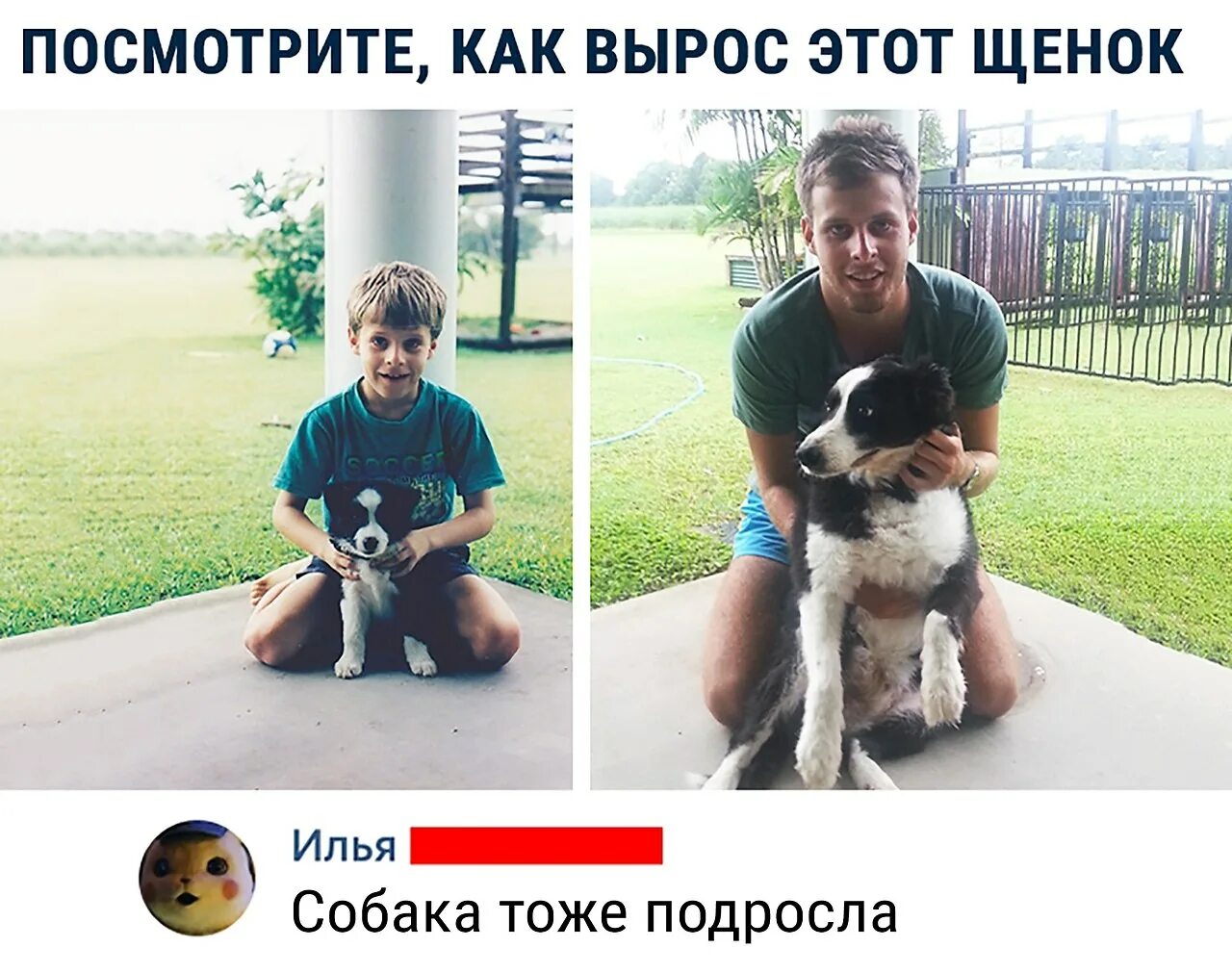 Вырос и это является. Подросший щенок. щенок вырос собака тоже подросла. как подрасти. щенок подрос и собака тоже.