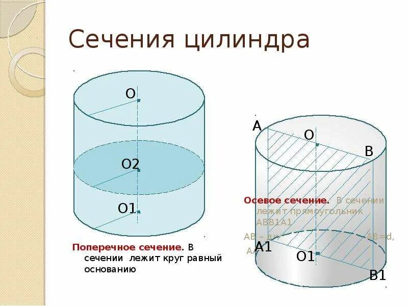 Вертикальное сечение цилиндра. Продольное и поперечное сечение цилиндра. продольное сечение цилиндра. цилиндр сечение цилиндра. поперечное сечение и продольное сечение.
