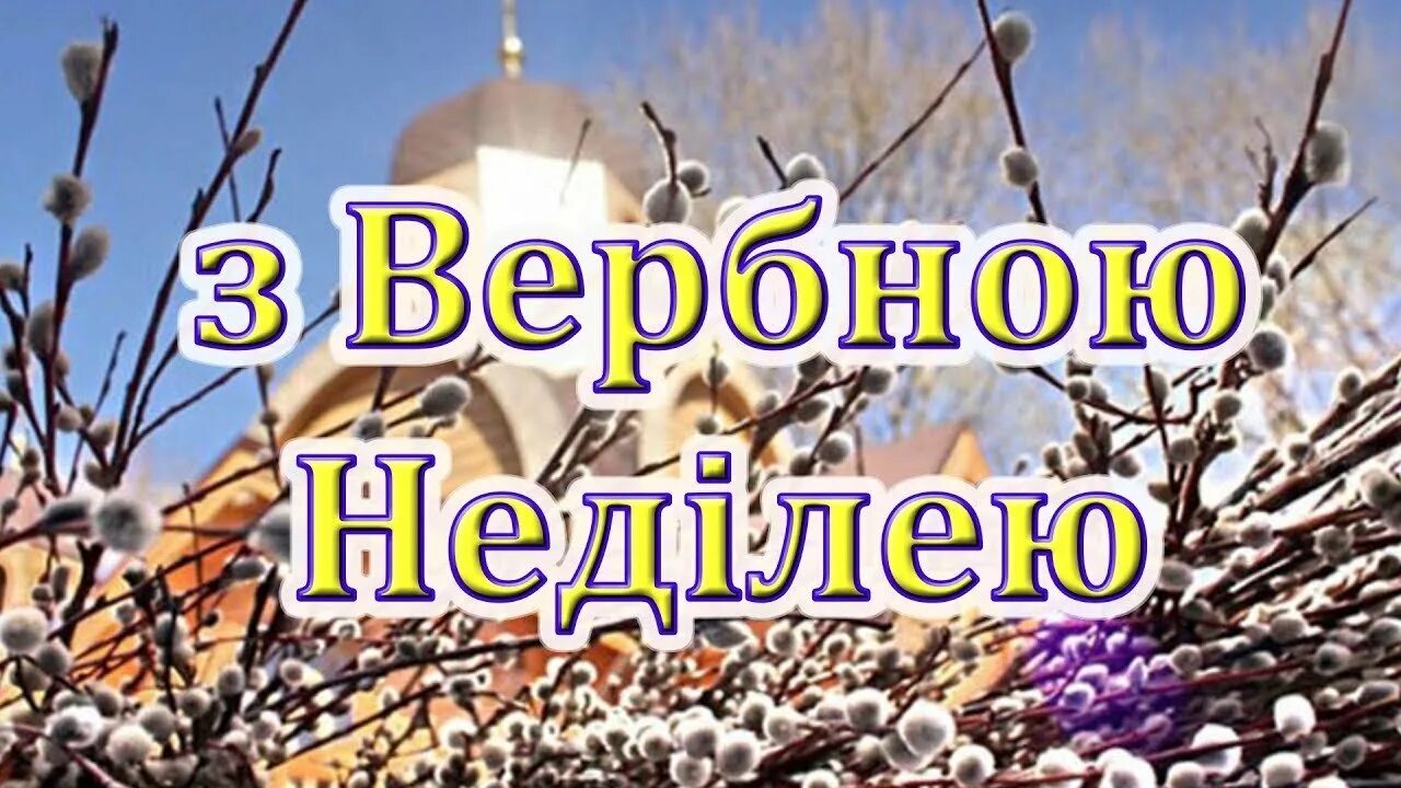 С вербным воскресеньем поздравления на украинском языке. Вітаю з вербною неділею. с вербным воскресеньем на украинском. с вербным воскресеньем на украинском языке. с вербным воскресеньем открытки.
