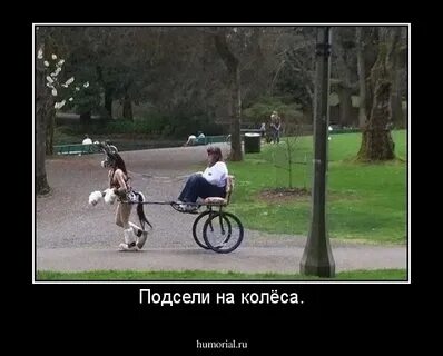 Не ездила к маме