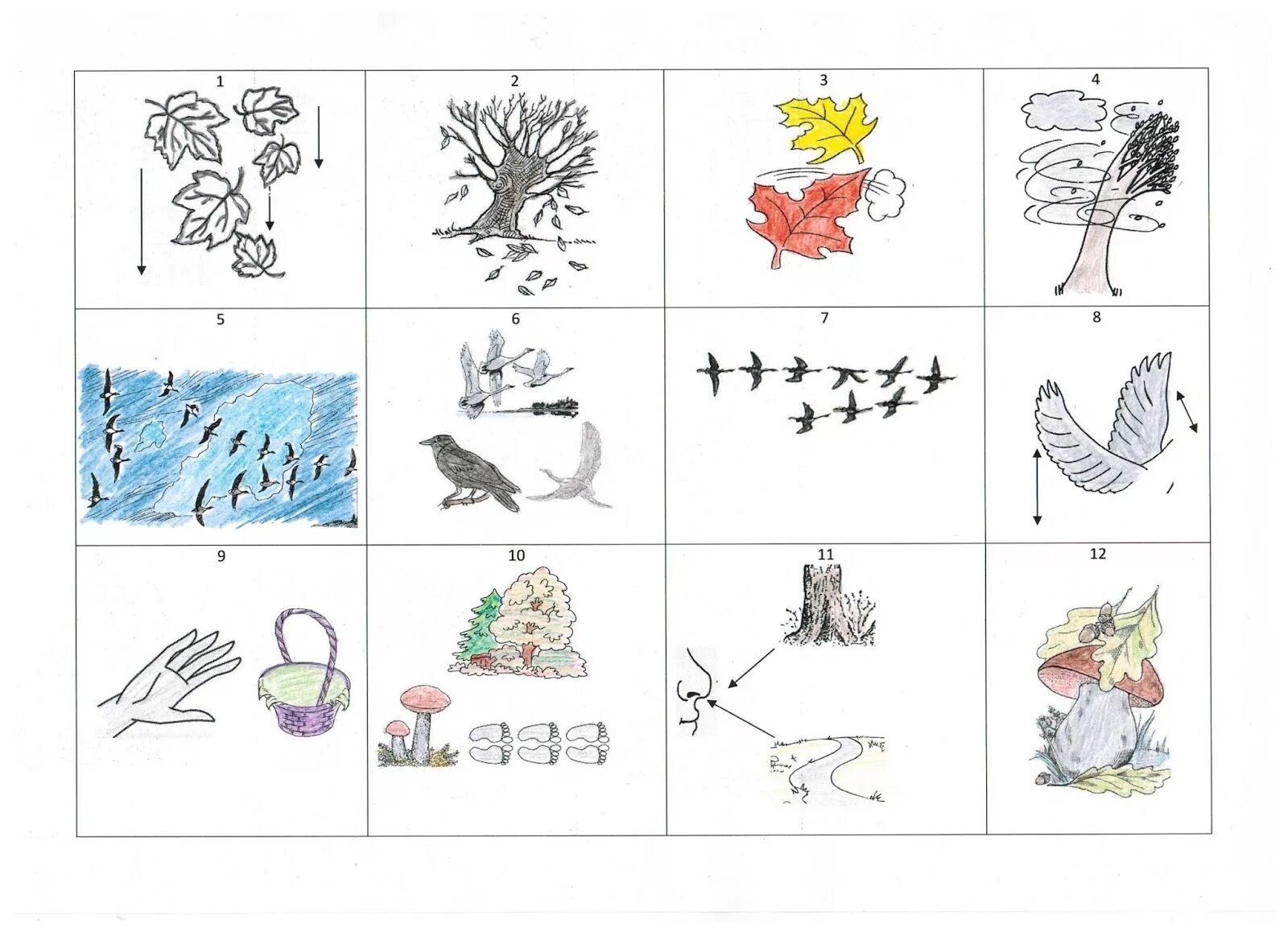 Схема описания осени. Мнемотаблица птицы на Юг улетают. Мнемотехника для дошкольников осень. Мнемотаблицы птицы. Мнемотаблицы для дошкольников в картинках.