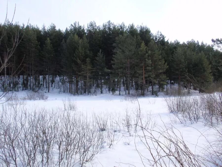 5 га. Как выглядит 1 га земли. Кому гектар земли. Слободка тарусского района калужской области. Кому гектар земли.