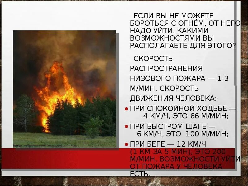 Особенности пожара. Методы тушения пожаров. Меры по защите населения при лесных и торфяных пожарах. Тактика тушения торфяных пожаров. Причины возникновения природных пожаров.