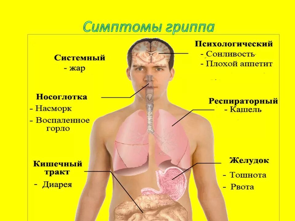 Подтвержденный грипп. Симптомы гриппа. Признаки гриппа. Основные симптомы гриппа. Симптомы гриппа у взрослого.