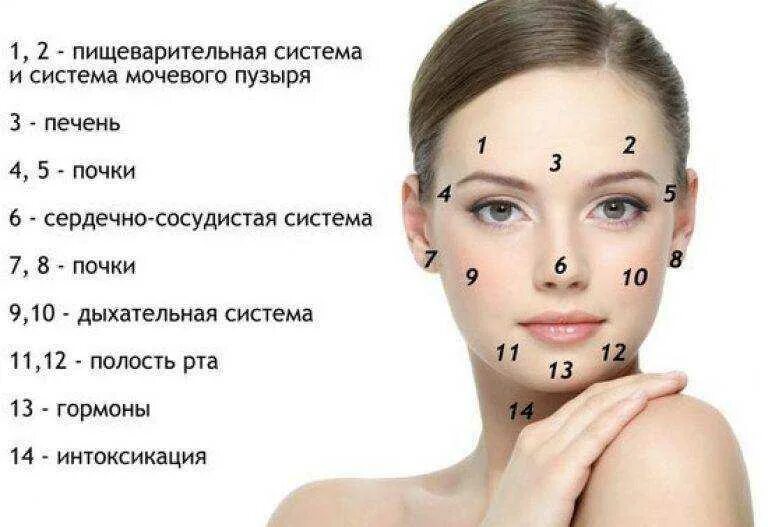 Карта лица высыпания на лице. Прыщи на лице по зонам причины. Прыщи на лице причины.