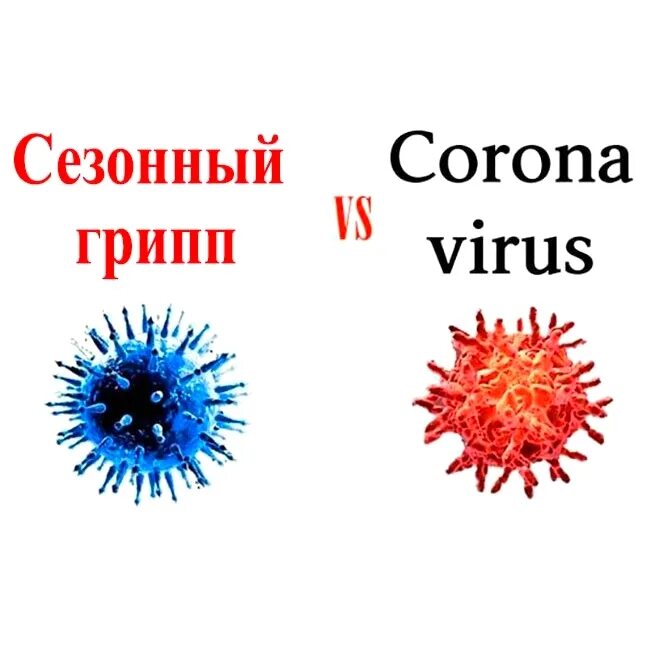 Вирус гриппа коронавирус. Вирус гриппа. Вирус гриппа и коронавирус. Изображение вируса гриппа. Молекула вируса гриппа.