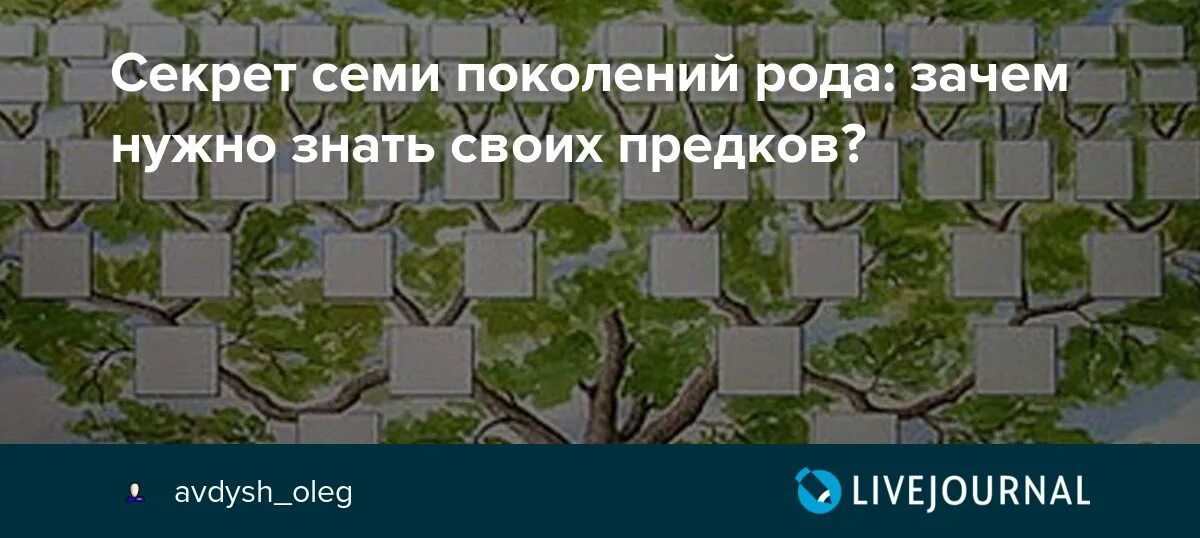 Сколько поколений роде. Сколько поколений родственников у человека. 7 поколений сила рода. Птица рода схема на 7 поколений. Ряд поколений происходящих от одного предка.