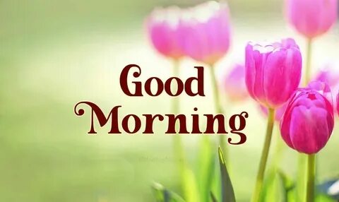 Good morning перевод с английского на русский