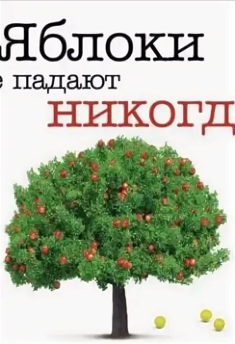 Яблоки не падают никогда отзывы. Яблоки не падают никогда.