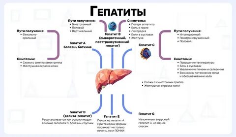 Гепатит у скольких людей
