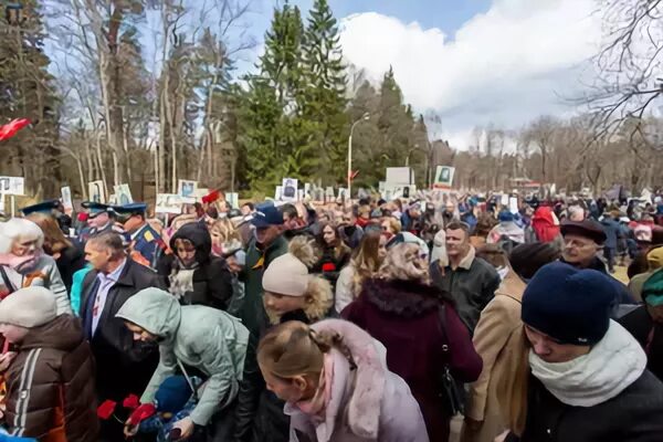 Зеленогорский городской сайт