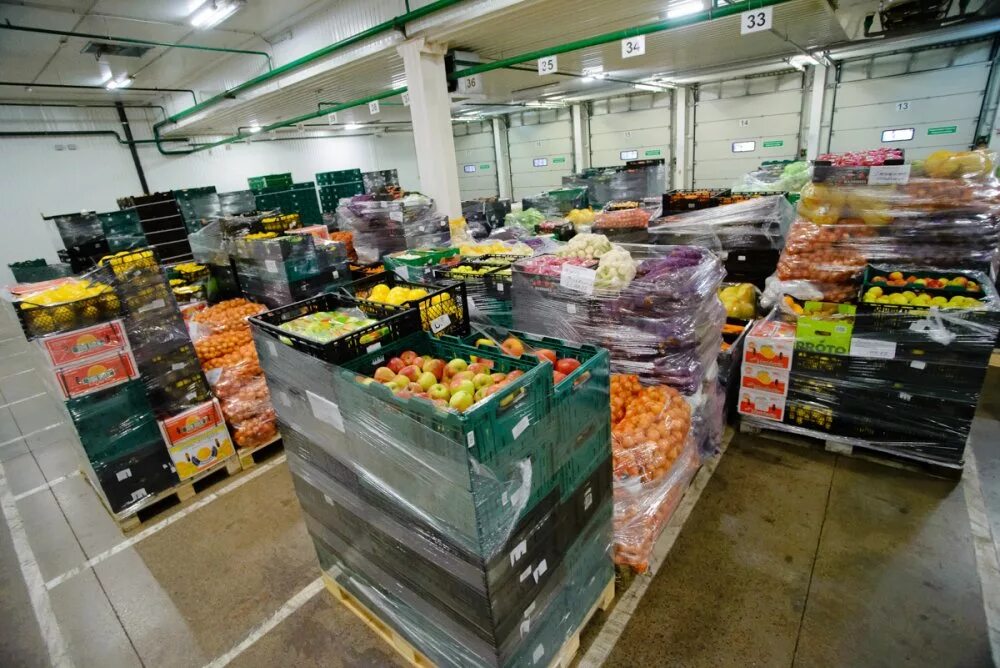 Плодово-овощная продукция. Хранение сельскохозяйственной продукции. Хранилище для овощей. Ассортимент овощей. Домашние овощи.