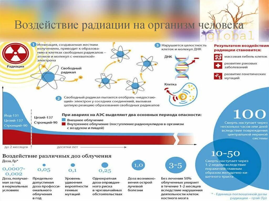 Действие радиоактивного излучения на человека. Воздействие радиации на организм человека. Воздействие радиоактивного излучения на человека. Влияние облучения на организм человека. Влияние радиоактивного излучения на человека.