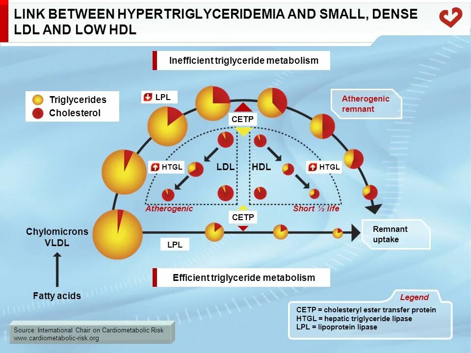 Link between