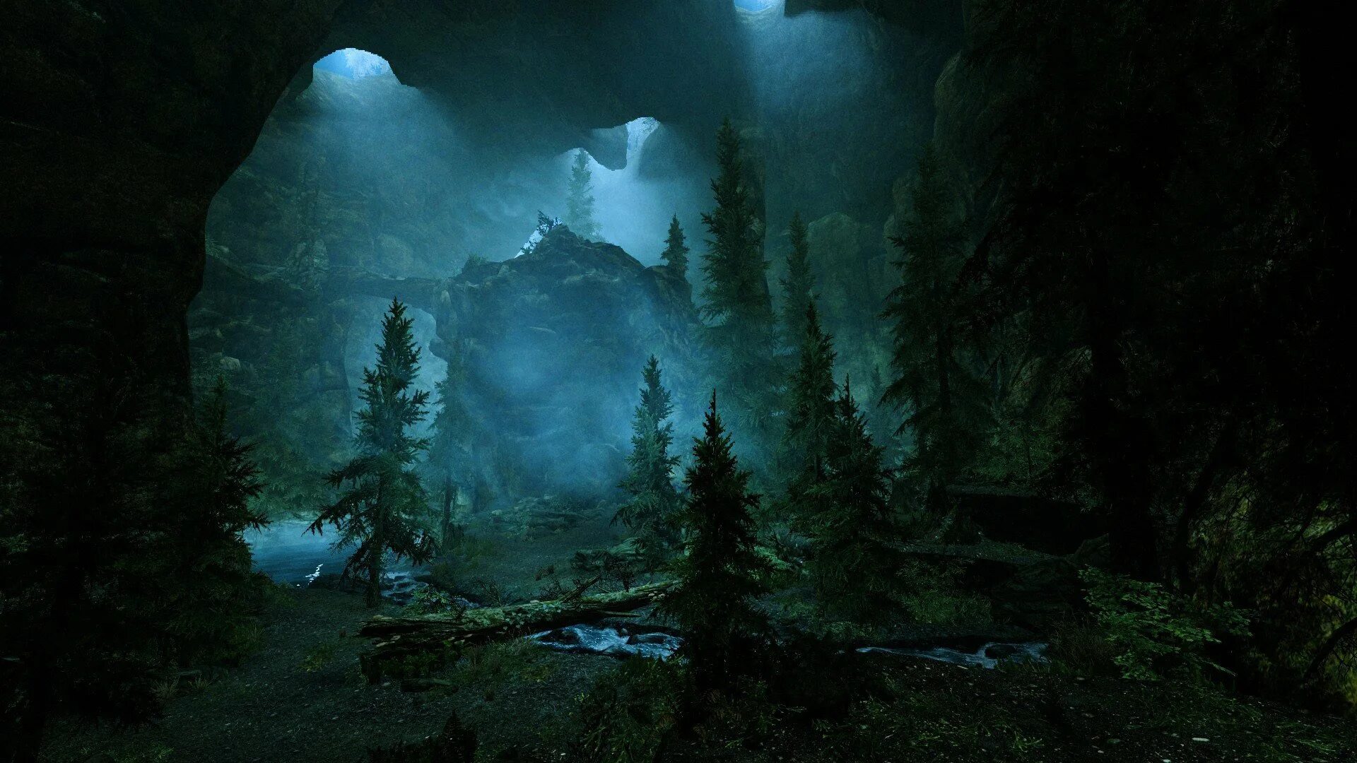 Непроходимый лес 4. The elder scrolls 5: skyrim лес. дремучий лес. ночной лес. темный дремучий лес.