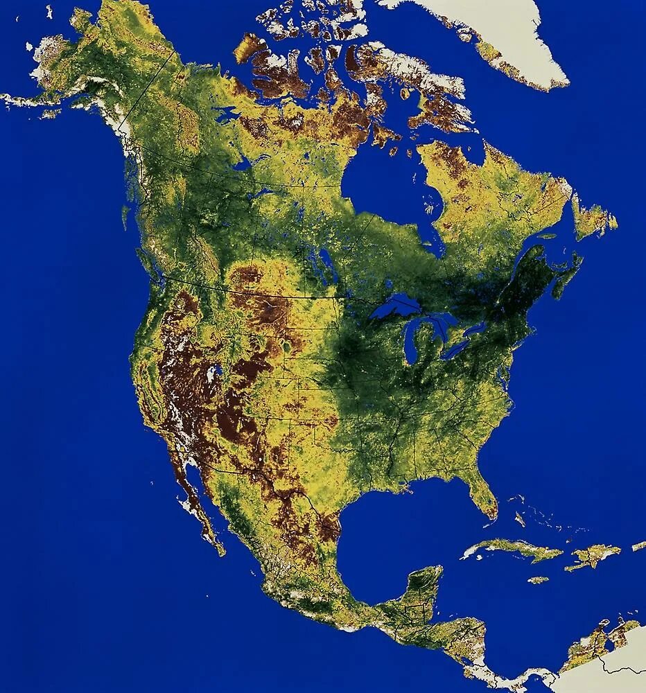 Северная америка континент. Американский континент америка. Континент северная америка и южная америка. Южная америка континент. Американский континент америка.