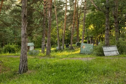 Гагарино