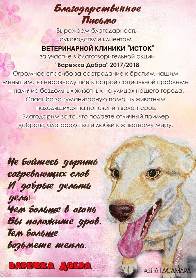 Благодарим за оказание помощи приюту для животных. Благодарность за помощь животным. Благодарность от приюта бездомных животных. Благодарность за помощь животным. Благодарственное письмо приют для животных.