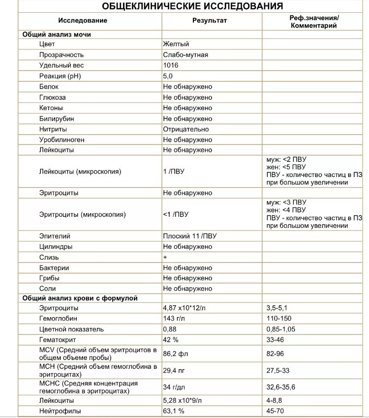 Общий анализ мочи бактерии. Общий анализ мочи с микроскопией. Значения анализа мочи расшифровка. Общий анализ мочи слизь.