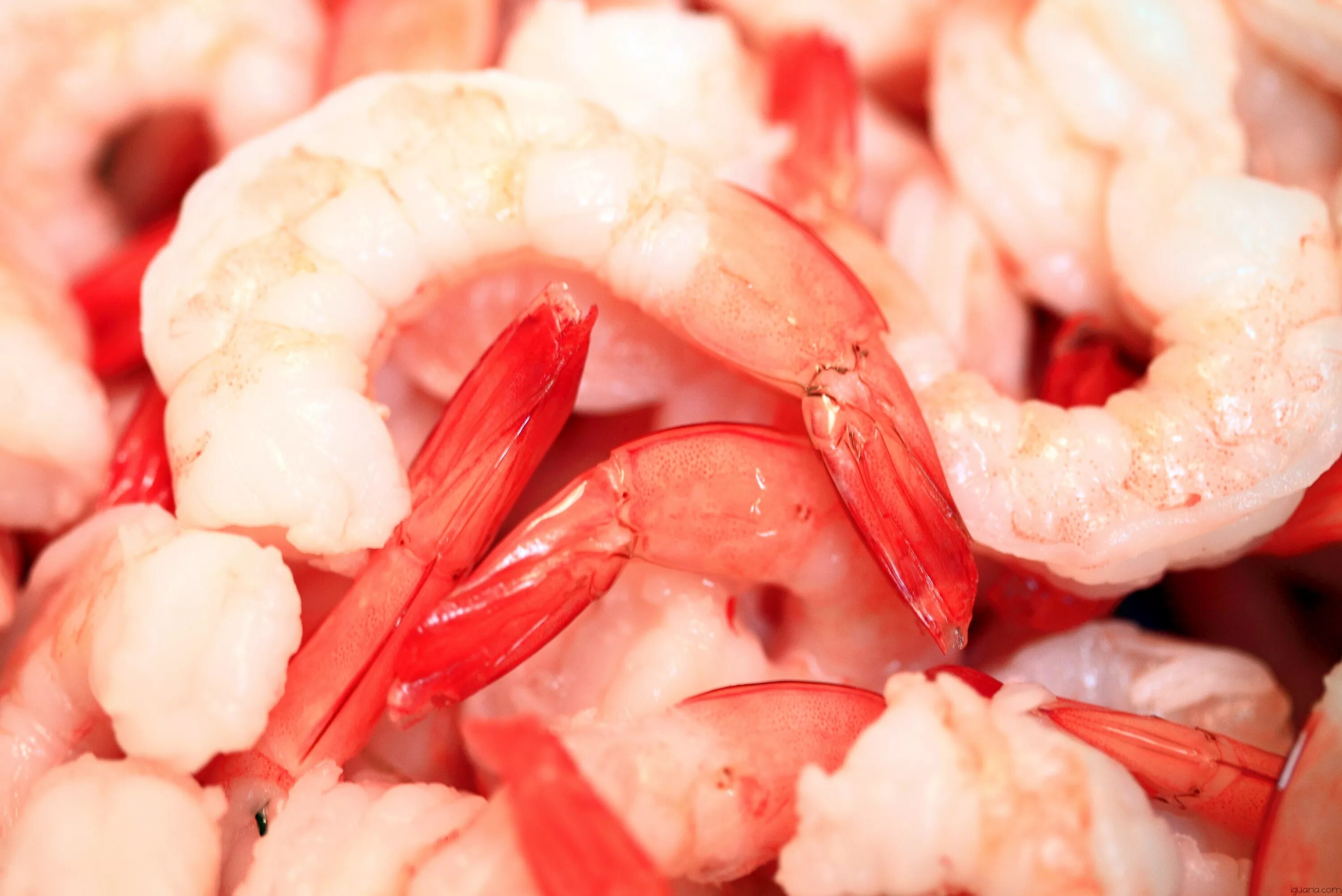 Креветки микроэлементы. Креветки. мясо креветки. мякоть креветки. розовая креветка.
