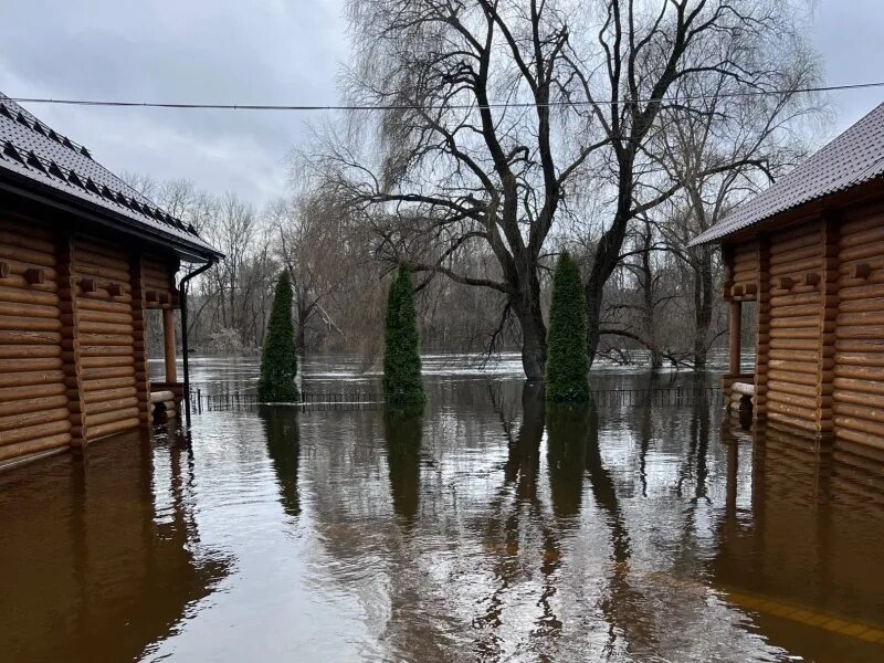 Брянск паводок. Паводок в Тульской. Половодье апрель 2023 Воронеж. Половодье в Ульяновской области.