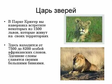 1500 лев