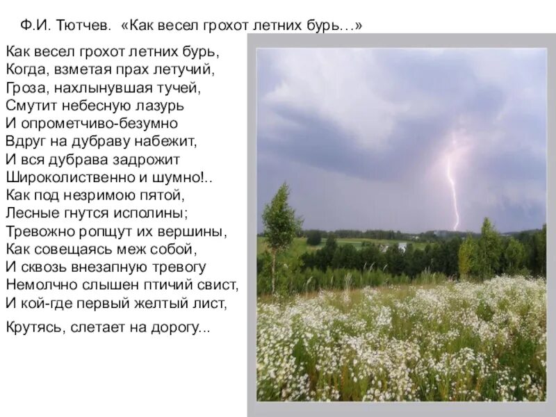 Стихотворение тютчев как весел грохот. Летние бури Тютчев. Ф.И.Тютчев как весел грохот летних бурь. Стихотворение как весел грохот летних бурь. Ф.И.Тютчева "как весел грохот летних бурь.